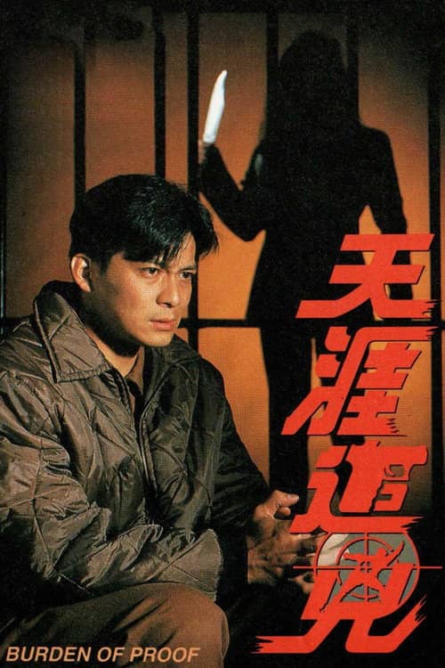 天涯追凶