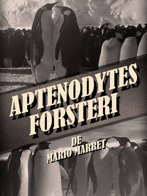 Aptenodytes Forsteri