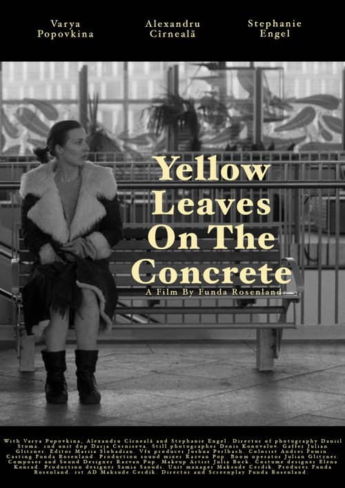 Yellow leaves on the concrete