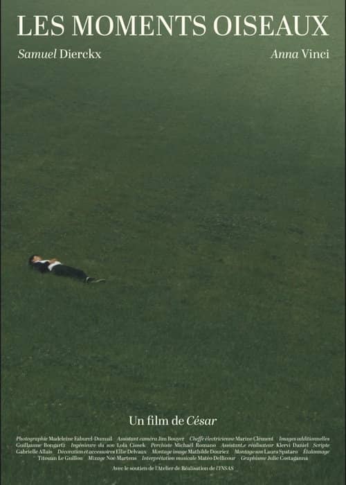 Les Moments Oiseaux