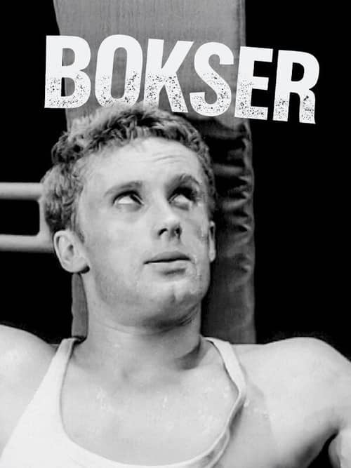 Boxer