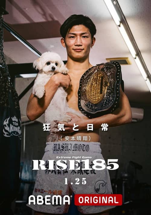 RISE 185