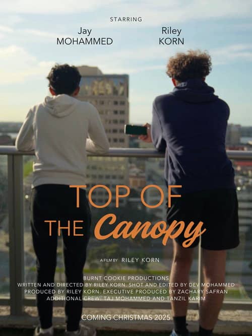 Top of the Canopy