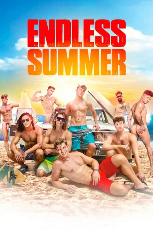 Falcon's Endless Summer