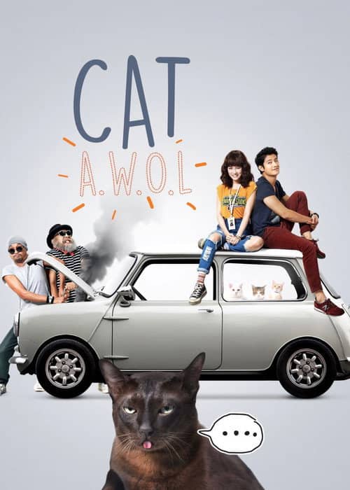 Cat A Wabb