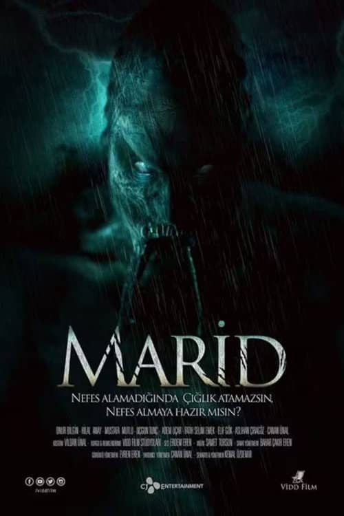 Marid