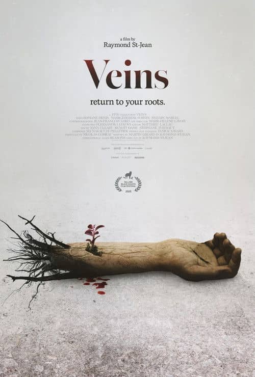 Veins