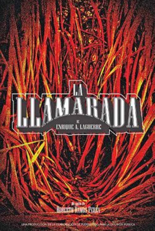 La llamarada