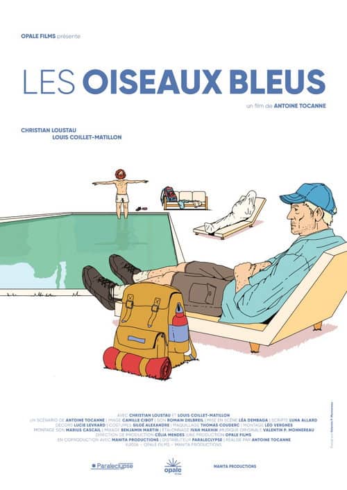 Blue birds
