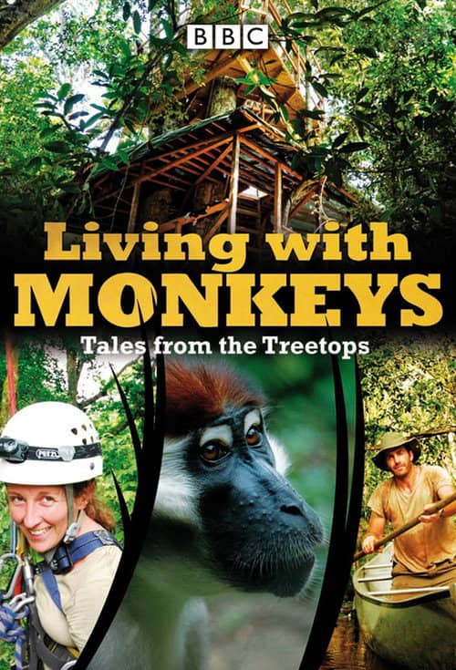 Living With Monkeys: Tales From the Treetops