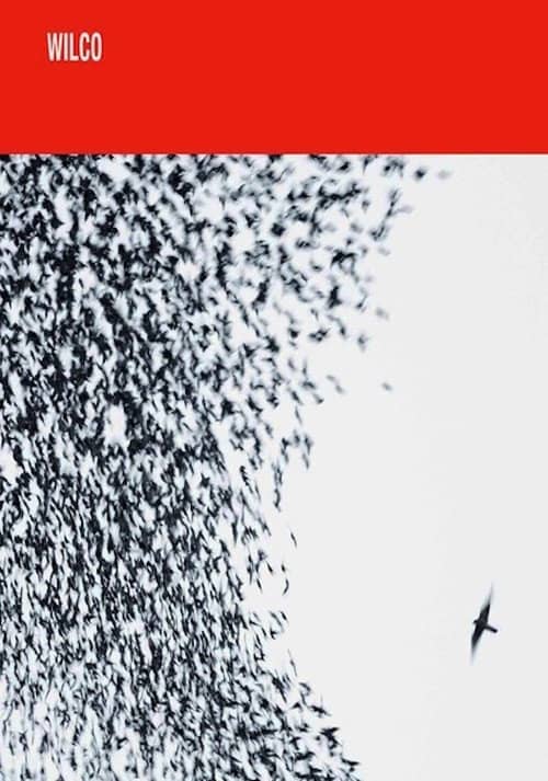 Wilco: Shake It Off