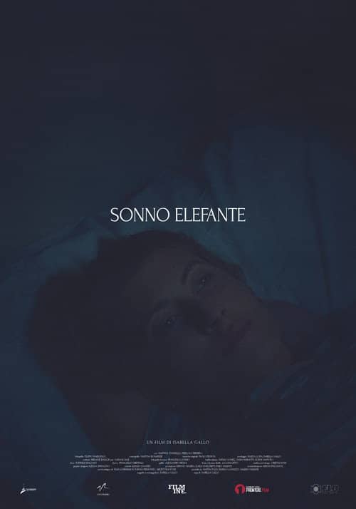 Sonno Elefante