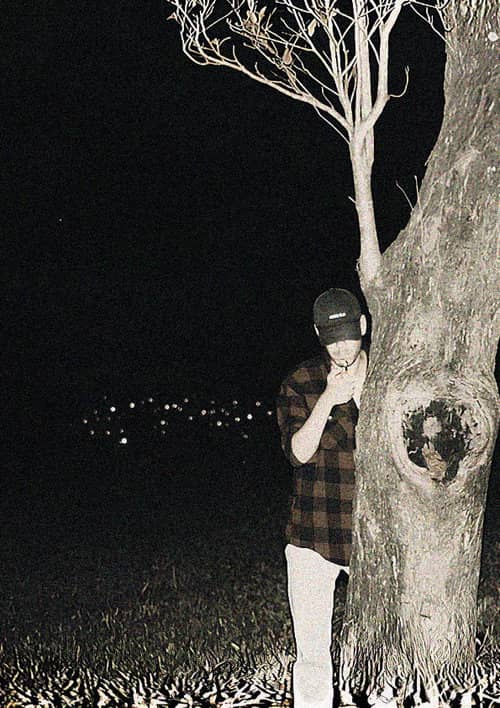 Predação Noturna
