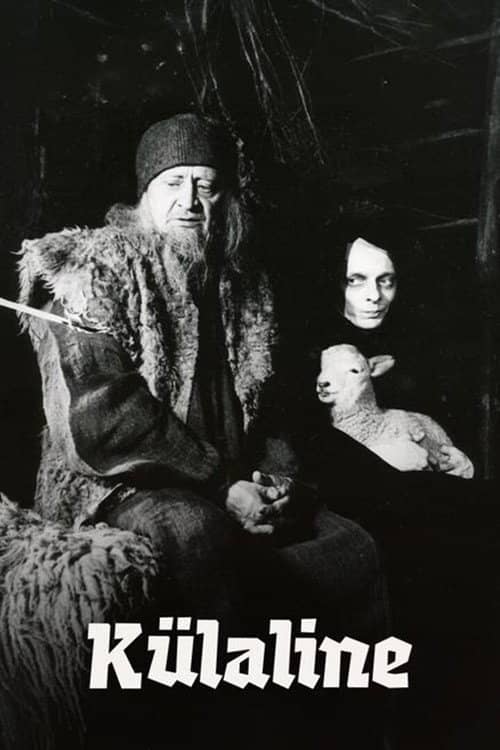 The Visitor