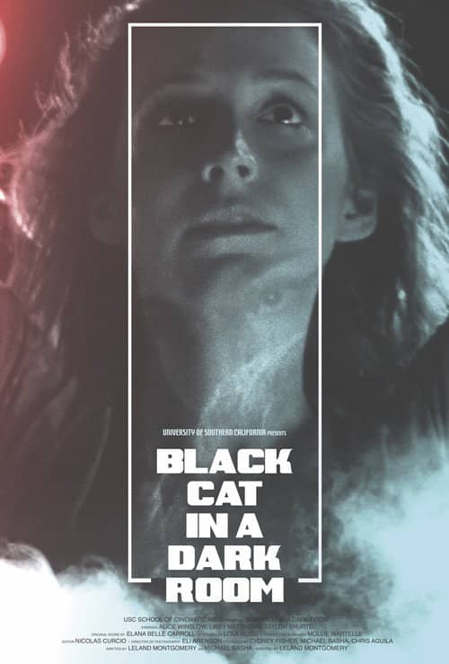 Black Cat in a Dark Room
