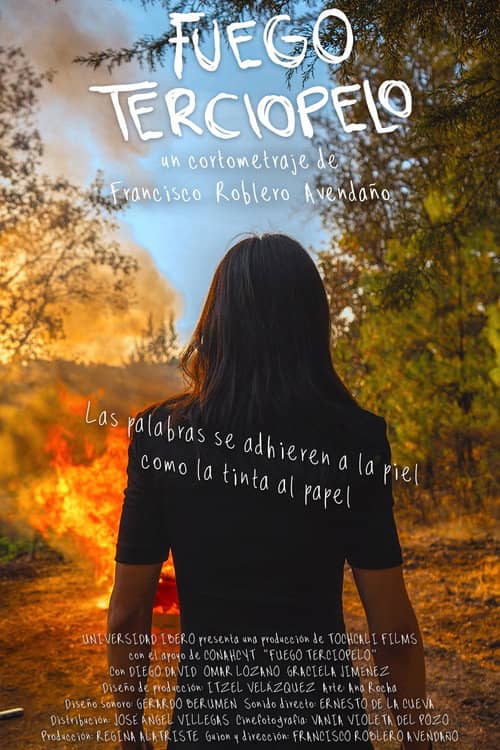 Fuego terciopelo
