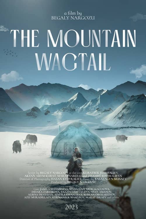 The Mountain Wagtail