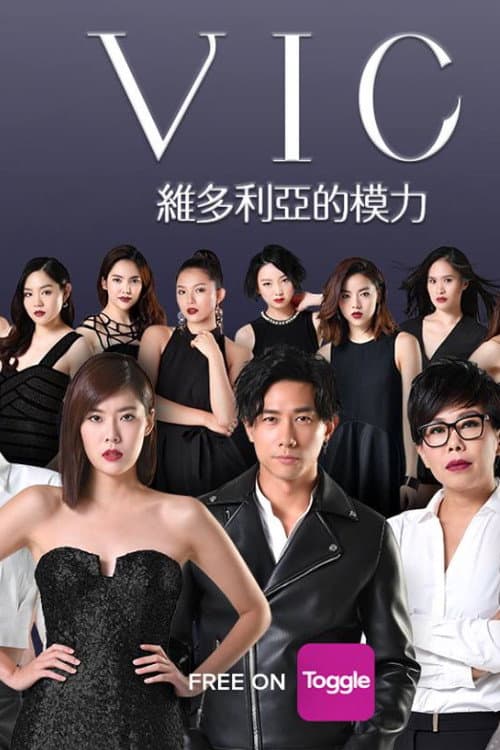VIC Season 1 poster
