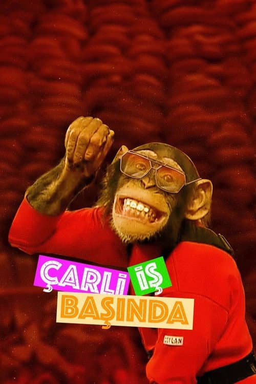 Charlie Season 1 poster