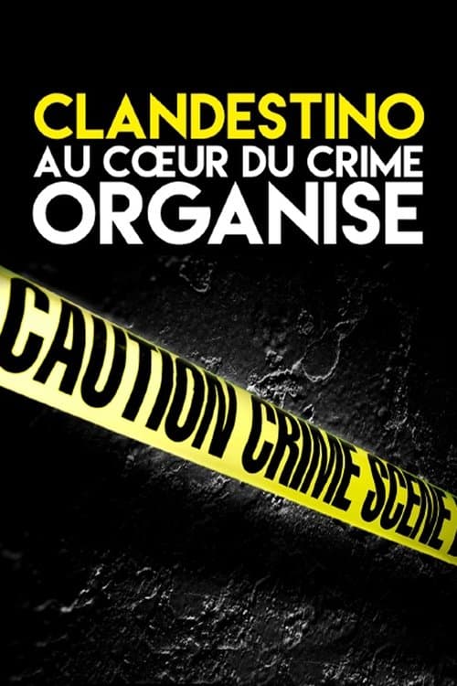 Clandestino Season 4 poster