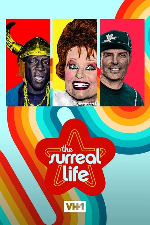 The Surreal Life Season 3 poster