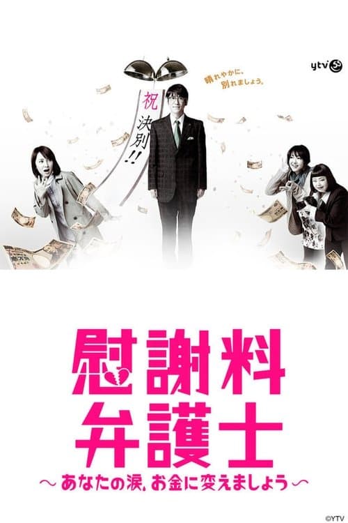 Divorce Chaser Season 1 poster