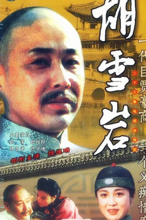 胡雪岩 Season 1 poster
