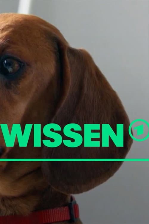 [W] wie Wissen Season 1 poster