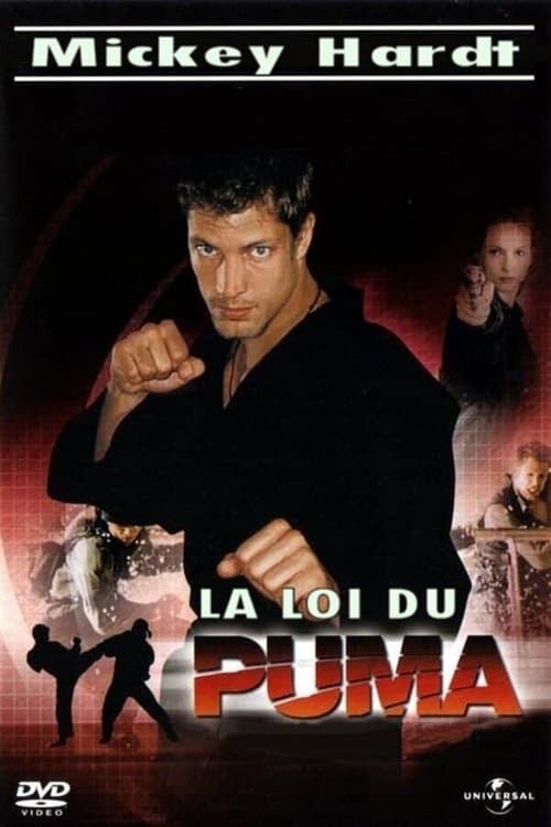 Der Puma - Kämpfer mit Herz Season 1 poster