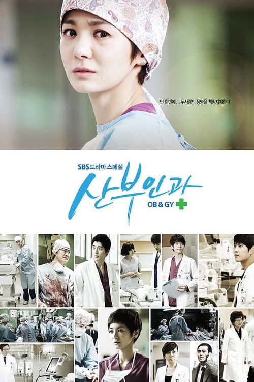 Obstetrics and Gynecology Doctors Season 1 poster