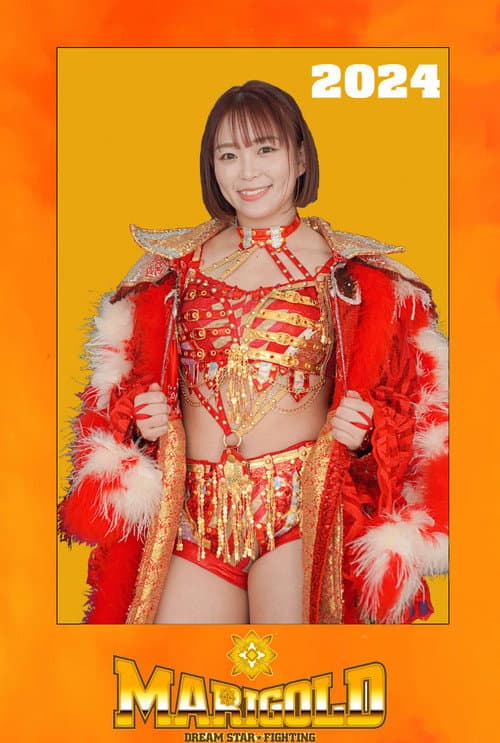 Dream Star★Fighting Marigold 2024 poster