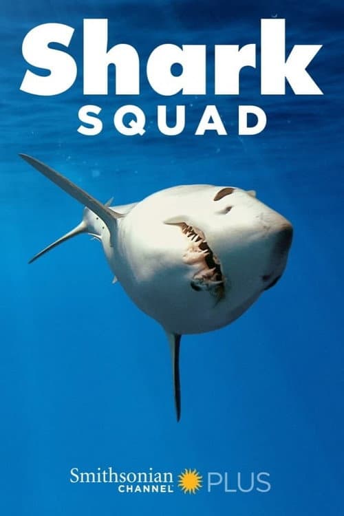 Shark Squad Season 1 poster