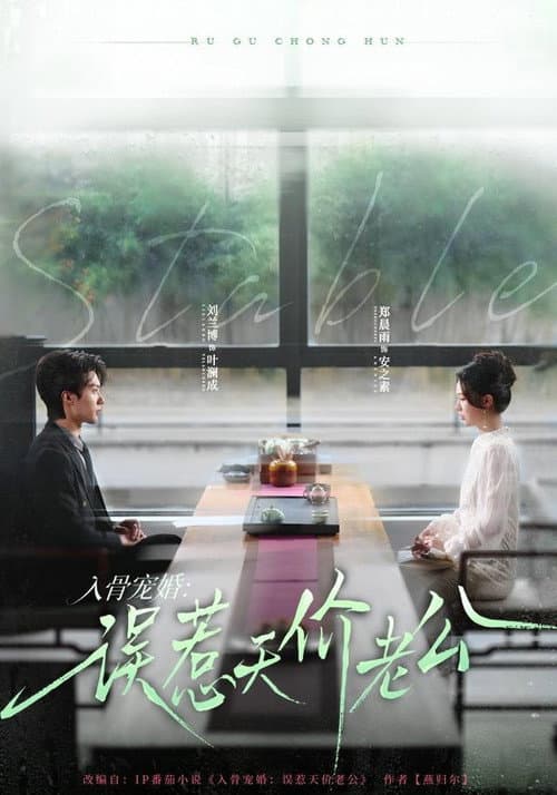 入骨宠婚：误惹天价老公 Season 1 poster