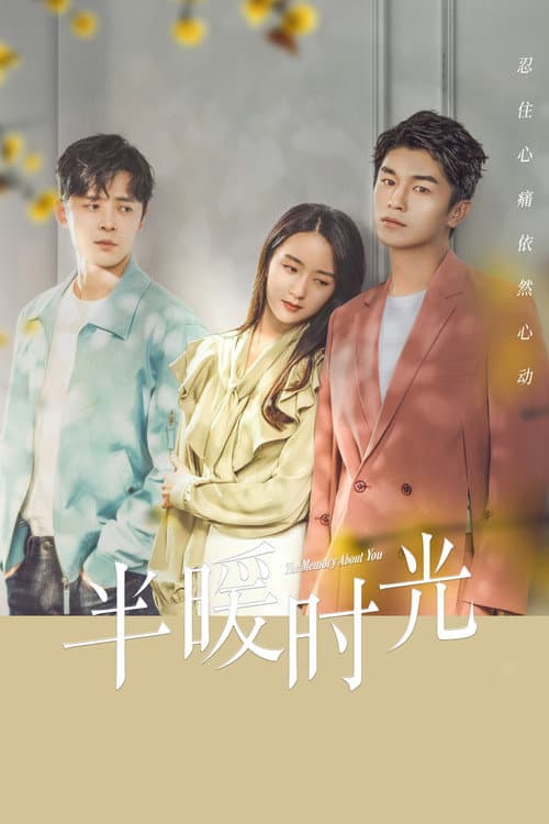 The Memory About You Season 1 poster