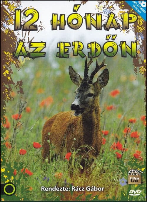 12 hónap az erdőn Season 1 poster