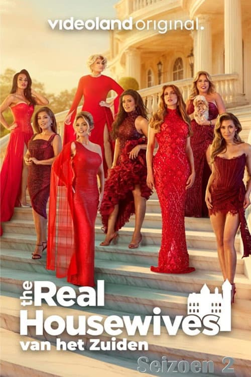 The Real Housewives van het Zuiden Season 2 poster