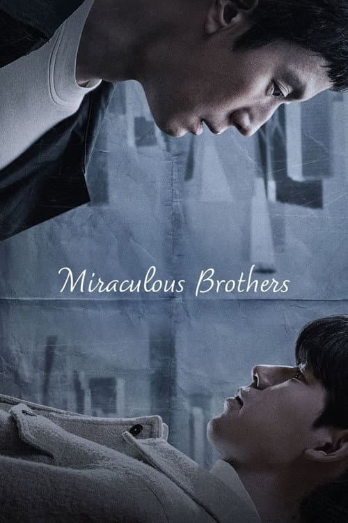 Miraculous Brothers Season 1 poster