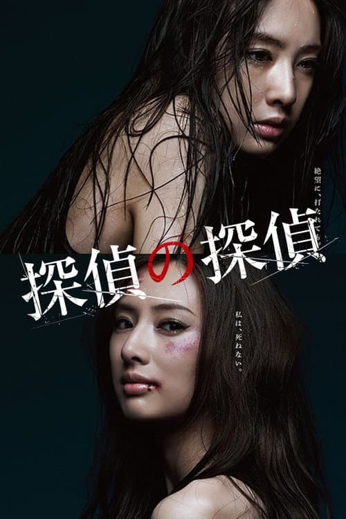Detective versus Detectives Season 1 poster