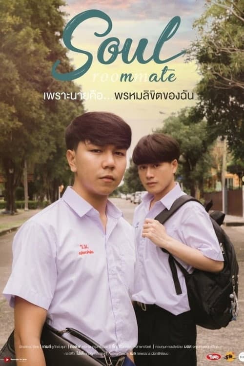 Roommate Soulmate poster