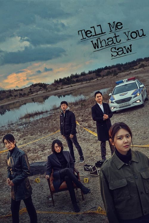 Tell Me What You Saw Season 1 poster