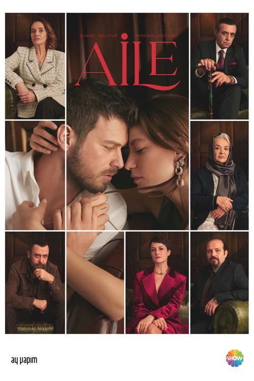 The Family Season 1 poster