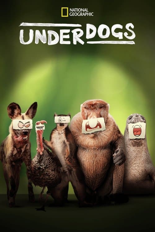 Underdogs Season 1 poster