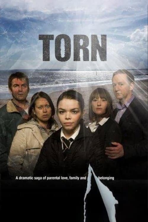 Torn Season 1 poster