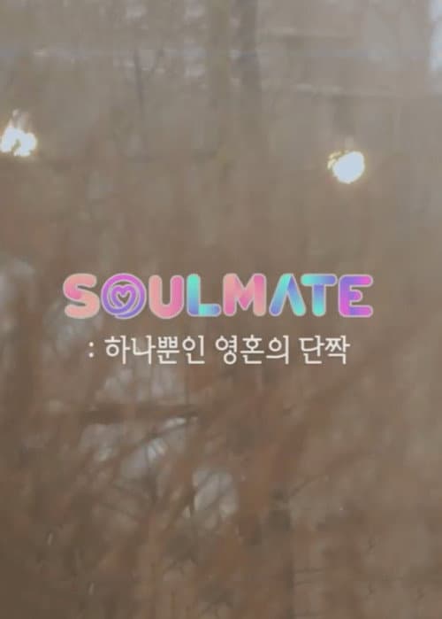 TIME TO TWICE Soulmate poster