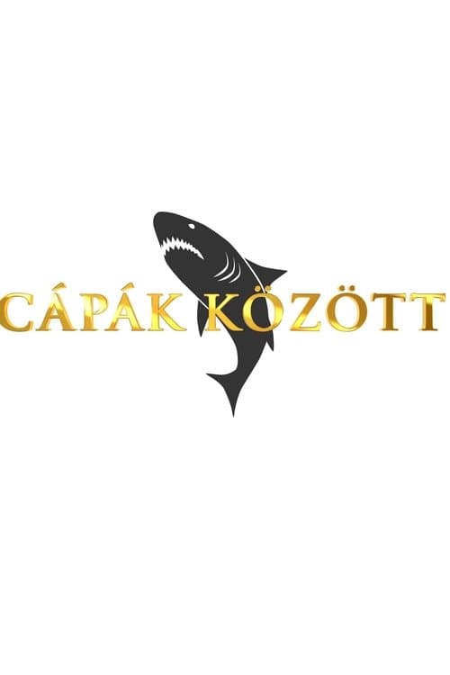 Cápák között Season 2 poster