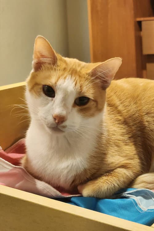 Barry