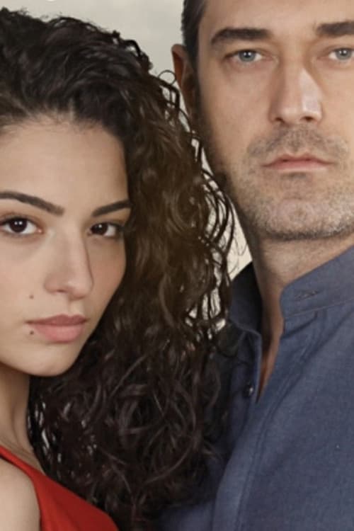 Love Is in the Air Season 3 poster