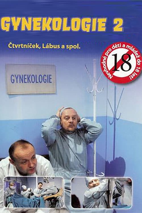Gynekologie 2 Season 1 poster