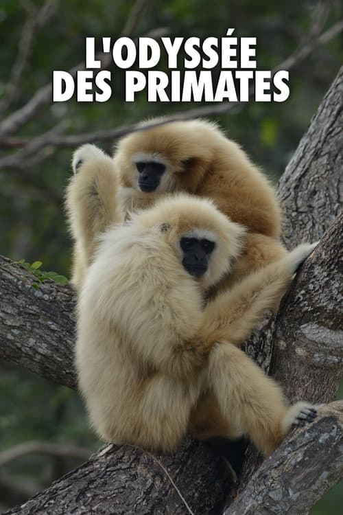Monkeys: An Amazing Animal Family Season 1 poster