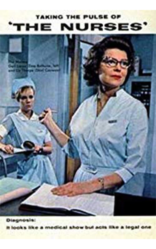The Nurses Season 2 poster